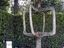 Cooler Baum