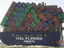 Container Domino
