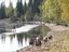 Wasserki mit Hunden