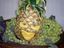 Ananas-Lady
