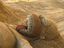 Homer Simpson aus Sand