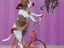 Fitnessger&auml;t f&uuml;r Hunde