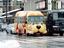 Hundeschulbus