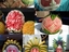 Gro&szlig;e Melonenkunst
