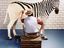 Zebrastreifenmaler