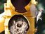 Nest in Ampel