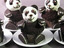Pandat&ouml;rtchen