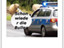 Die Bullen kommen