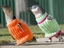 Pinguine im Pullover