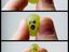 Arme Traube