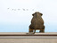 Einsamer Elefant