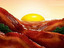 Bacon-Sonneaunfgang
