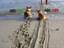 Hunde mit und ohne ABS