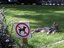 katzenfreundliche Umgebung