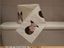 Justin Klopapier
