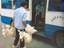 Tiertransport