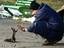 Eichh&ouml;rnchen