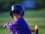 Baseball-Hamster
