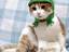 Froschkatze