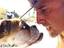 Hund und Herrchen