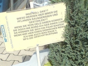 jpg