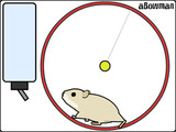 Spiel mit dem Hamster