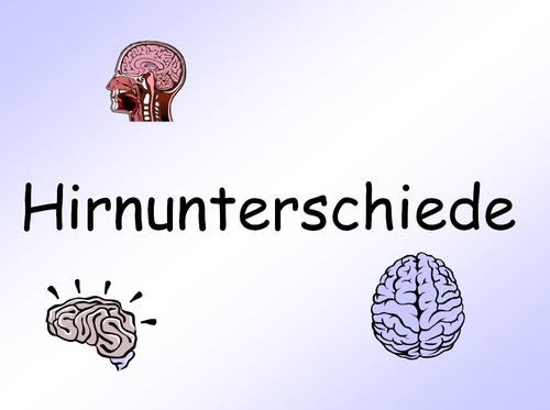 Hirnunterschiede Hirnunterschiede