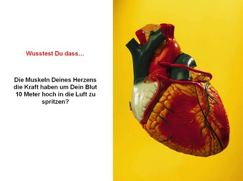 Interessante Dinge Interessante Dinge