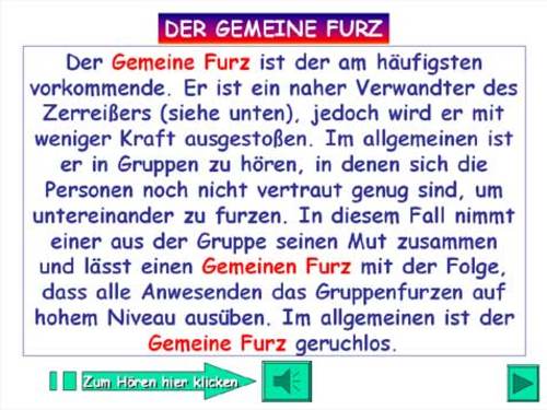 Furzstudie Furzstudie