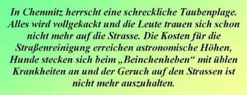 Rote Taube Rote Taube