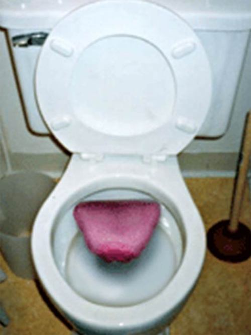 Funbilder Funbilder