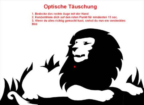 Zauberbild Zauberbild