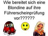 F&uuml;hrerscheinpr&uuml;fung