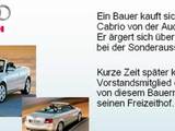 Audi und die Kuh