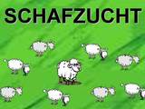 Schafzucht