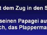 Reise mit Papagei