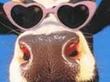 Urlaubsreif? Urlaubsreif?