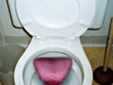 Funbilder