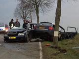 Audi gegen Baum