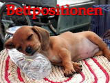 Bettpositionen