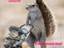 Tierische Jobs