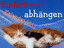 Kalender f&uuml;r 2011