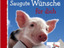 Ein Haufen Gl&uuml;cksschweine