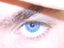 Zu peter_l