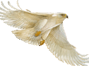 Sylverbird
