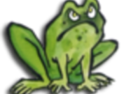 _Kackfrosch