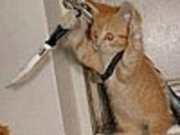sniper1990
