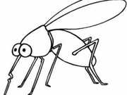 mosquito69