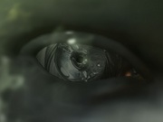 BlackTears