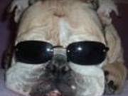 Flup